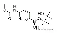 Molecular Structure of 1073372-02-7 (2-MethoxycarbonylaMinopyridine-5-boronic acid)
